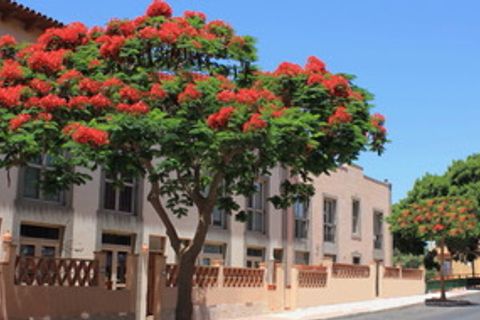 Rækkehus i Tijoco Bajo, Tenerife, Tijoco Bajo - € 404.000 | Ref: PP2610 - foto 1